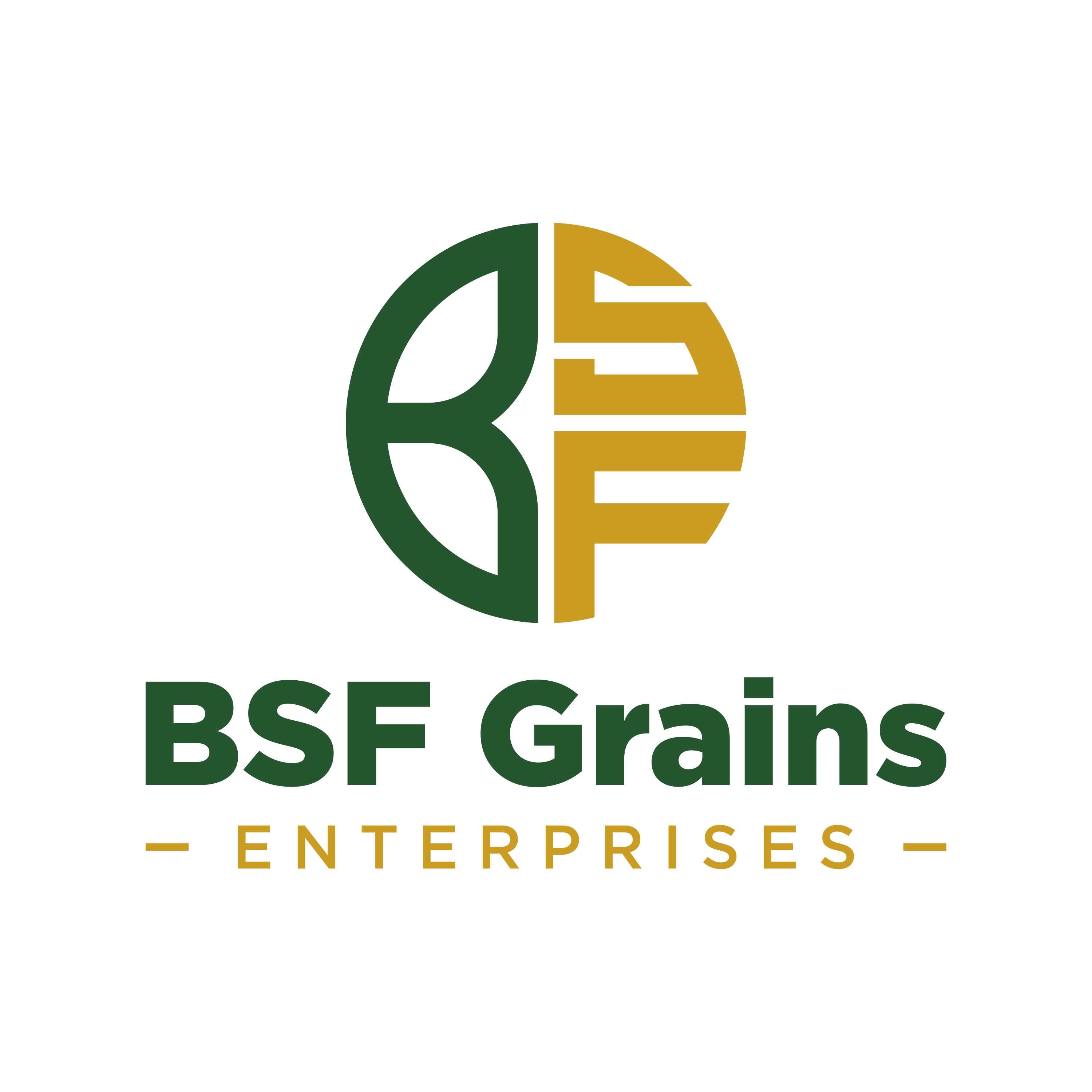 BSF Grains Logo